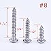 eBoot Wood Screws Stainless Steel Pan Head Screws Phillips Drive Self-Drilling Screws, 3 Sizes, 150 Pieces