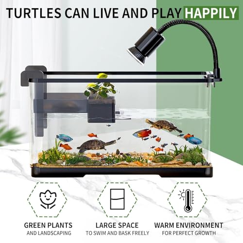 Homodoskey Acrylic Fish Aquarium Ultra Clear, Turtle Tank Starter Kit with Light & Filter, Innovative Bottom Drainage, Desktop Mini Habitat - Multi-Function Areas for Crabs & Small Reptiles (Size L)