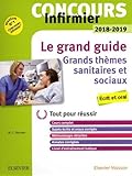 Concours Infirmier 2018-2019 Le Grand Guide Grands Thèmes Sanitaires Et Sociaux: Ecrit Et Oral; Le by 