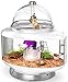 BioBubble Ultimate Small Animal Terrarium - Silver