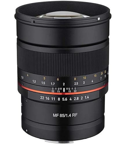 Amazon.com : Canon RF 85mm F2 Macro is STM, Compact Medium