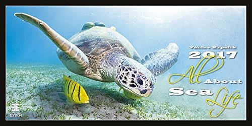 Ocean Calendar - Calendars 2016 - 2017 Calendar - Sea Turtle Calendar - Photo Calendar - All About Sea Life Calendar by Helma