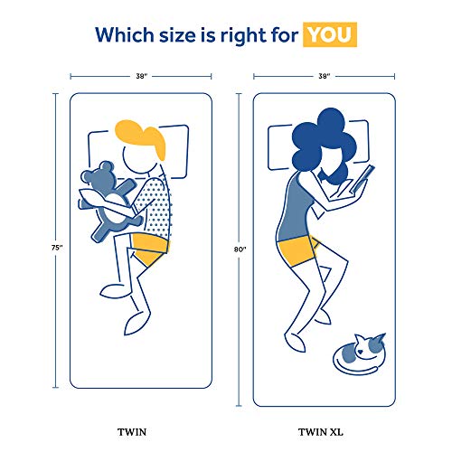 Sealy Memory Foam Bed in a Box 8 Inch, Medium Feel, Twin Size