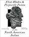 Flint Blades and Projectile Points of the North American Indian by Lawrence Tully, Steven N. Tully