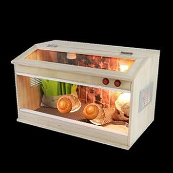 2 Stuck Naturliche Seeigel Muschelschale Reptilienbox Aquarium Garten Dekorationen Diy Ornament Seeigelschale Amazon De Haustier