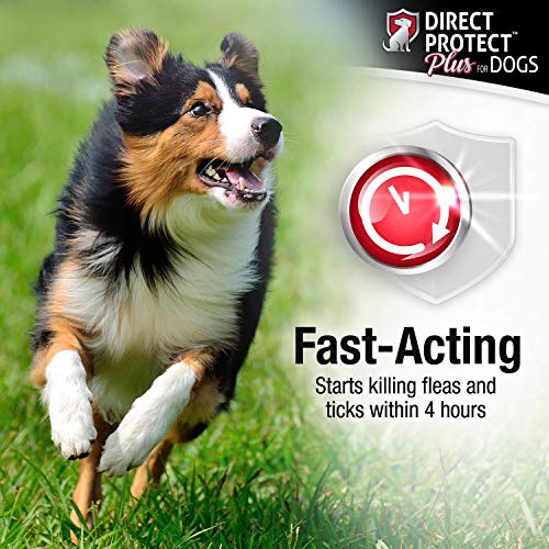 Direct Protect Plus Flea & Tick Topical Treatment for Dogs, Waterproof & Fast Acting, 3 Month Supply - Thumbnail 5