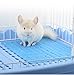 Misyue 2 Pieces Pack Rabbit Mats for Cages Plastic Small Animal Cage Hole Mat Prevent Little pet Skin Disease with 4 Fixed Tabs （Blue