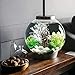 biOrb CLASSIC 15 Aquarium with LED – 4 gallon, Silverthumb 4