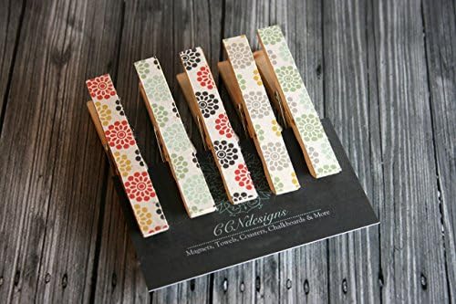 Multi-Color Flower Clothespin Magnet Set