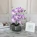 LIVILAN Romantic Lifelike Silk Orchid with Decorative Ceramic Vase,Large Vivid Artificial Flower Arrangement,Potted Orchid Plant,Lavender