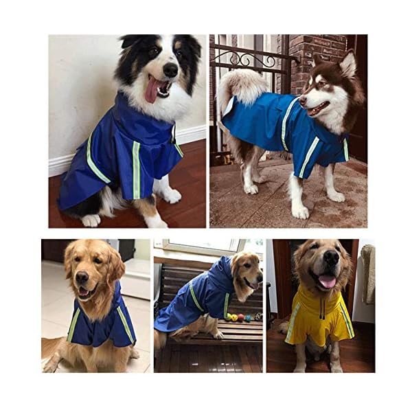 PPING Giacca Impermeabile Cane Cappotto Impermeabile per Cani con Cappuccio Cappottini per Cani di Media Taglia…