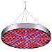 Led Grow Light, Shengsite 75W Plant Grow Lights for Indoor House Plants Full Spectrum Growing Lamp for Hydroponics,Greenhouses,Grow Tent,Plant Factory,Flower&Vegetable