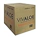 VIVALOE Mango Aloe 16.9fl oz (12 Pack)
