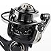 KastKing Mela II Spinning Reel, Light, Smooth Fishing Reel, Free Spare Graphite Spool, 10 + 1 BB, 5.2:1 Gear Ratio, Powerful Carbon Fiber Drag System.