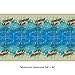 Aladdin Theme Birthday Party Supplies Set Serves 16 - Tablecover, Banner Decoration, Plates, Napkins, Cups and Candles - Jasmine and Aladdin