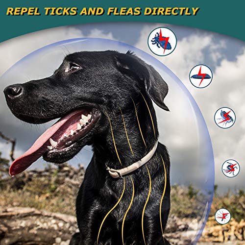 Collar-antipulgas-para-Perros-Collar-antipulgas-de-Seguridad-Natural-para-Perros-Collar-antipulgas-Ajustable-Collar-Impermeable-contra-pulgas-para-Perros-proteccion-de-8-Meses-Talla-unica