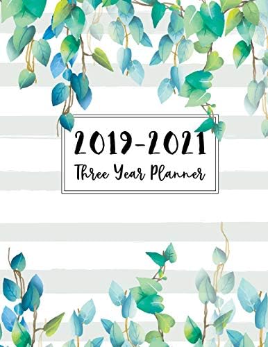 2019-2021 Three Year Planner: 3 Year Daily Planner Calendar Schedule Organizer Planner Journal Agenda Appointment Planner for the Next Three Years, ... 2019 to 2021 Monthly Calendar)(Volume 3) Paperback – August 13, 2018
