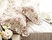 FADFAY Shabby Pink Rose Floral Print Pillowcases Elegant Country Style Vintage Lace Ruffles Bedding Pillow Covers Standared Size 19