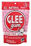 Glee Gum Wild Watermelon Pouch 2.9 Ounces