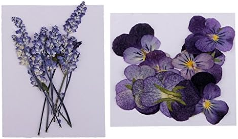 Sharprepublic 押し花 素材 ドライフラワー 花材 乾燥した花 ギフト 包装材料 スクラップブッキング 用品 約22個入り B07zbs5g99 221円