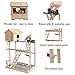 ROCKEVER Parrot Play Stand Bird Playground Cockatiel Gym with Nesting Box and Cupsthumb 2