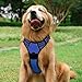 rabbitgoo Dog Harness No Pull with 2 Leash Clips, Adjustable Soft Padded, Reflective Oxford No Choke Pet Vest with Easy Control Handle for Large Dogs, Dazzling Blue, L