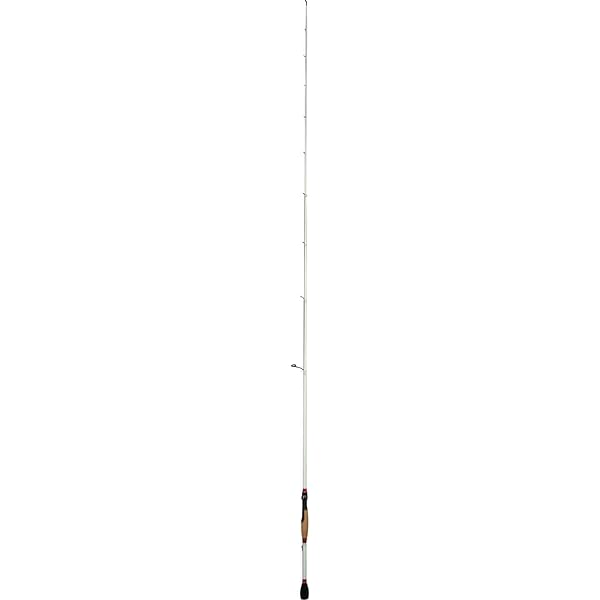 medium action rod