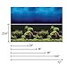 Vepotek Aquarium Background Double sides (Deep Sea/Water Plants) (48
