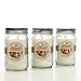 Hosley's Set of 3, 11 oz. Coconut Macaroon Scented Mason Jar Candles