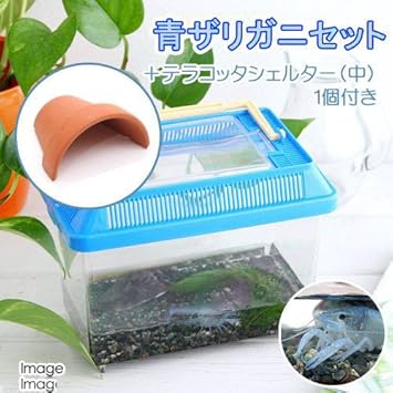 50 素晴らしいザリガニ 飼い方 魚のすべて