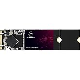 Kingshark gamer SSD M.2 2280 64GB Ngff Internal Solid State Drive High-Performance Hard Drive for Desktop Laptop SATA III 6Gb/s (64GB, M.2 2280)