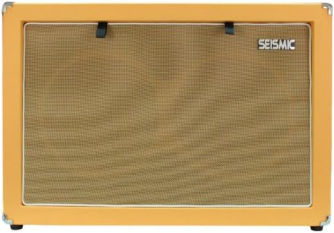 unloaded 2x12 guitar cabinet