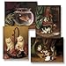Cat Tales - Box Set of 12 Assorted Greeting Cards and Patterned Envelopes