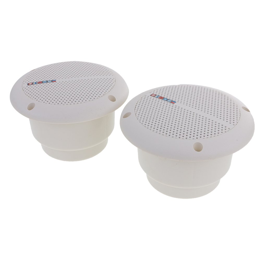 car speakers in ceiling