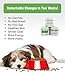 Vetrinex Labs Coprophagia Poop Eating Deterrent & Prevention, Stop & Prevent Stool Eating Treatment - Probiotics for Dogs, Cats and Puppies - Forbids Dog from Eating Poop - Probiotic Powder (120 GMS)