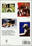 Image de Manual Practico Del Beagle/ Guide to Owning a Beagle (Spanish Edition)