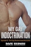 My Gay Indoctrination - The Gay Brotherhood Revealed: Enter Into A Gay Secret Society