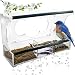 Birdious Deluxe Window Bird Feeder with Strong Suction Cups: Enjoy Clear View Wild Birds. Removable Tray with Drain Holes, Large Birdhouse for Outdoors Mounted on Outside Windows. Best Gift Idea primary