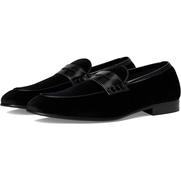Amazon.com | Steve Madden Men