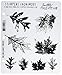 Stampers Anonymous Tim Holtz Cling Rubber Stamp Set, Falling Leaves (CMS-097)
