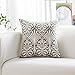 HWY 50 Grey Gray Decorative Pillow Cover 18x18 Inch (1 Piece), Embroidered Cotton Farmhouse Cushion Cover Pillow Case for Sofa Couch Living Room Bed, Minimalist Floral
