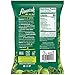 PopCorners Flourish Harvest Kale Veggie Crisps | Plant-Based Protein, Gluten Free Snacks | (24 Pack, .75 oz Snack Bags)