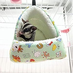 LiféUP Amaca Invernale per Animali Guinea Guinea, Maiale Coniglio Coniglio Riccio Zucchero aliante Scoiattolo Criceto… LifeUp LiféUP Amaca Invernale per Animali Guinea Guinea, Maiale Coniglio Coniglio Riccio Zucchero aliante Scoiattolo Criceto…