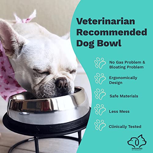 Enhanced Pet Bowl, Stainless Steel Slanted Dog Bowl with Raised Ridge