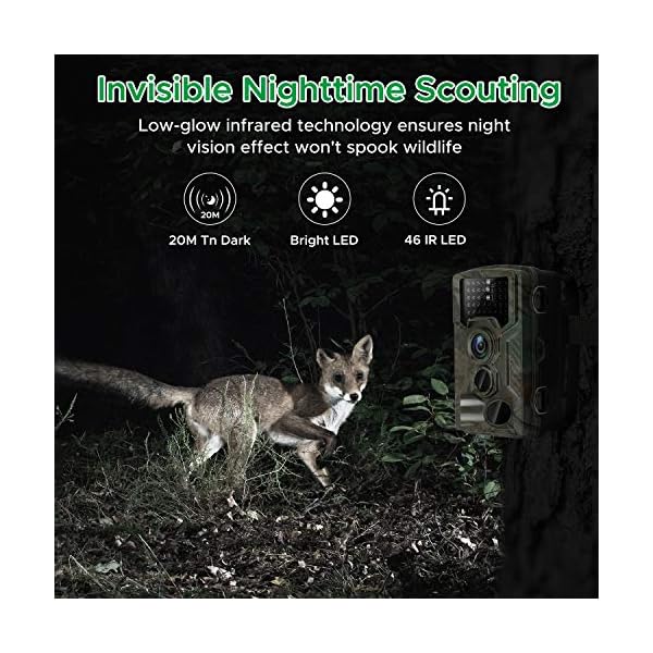 Topnaca Wildkamera Fotofalle 1080P HD Jagdkamera, IP66 Überwachungskamera mit, wasserdichte Aufklärungskamera mit 0,2s… – Bild 6