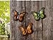 Westcharm Metal Butterfly Wall Decor Art Outdoor Outside Indoor Garden Patio Yard Fence Colored Metal Butterflies, Set of Three Wall Art/Outdoor Wall Decor