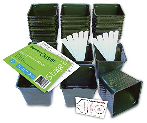 Set of 36 plastic nursery plant pots, "seed shaker…