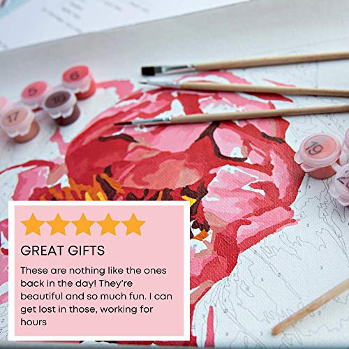 Pink Picasso Paint by Numbers Kits for Adults, 16x20 (Darling Dahlia). As Seen On Shark Tank