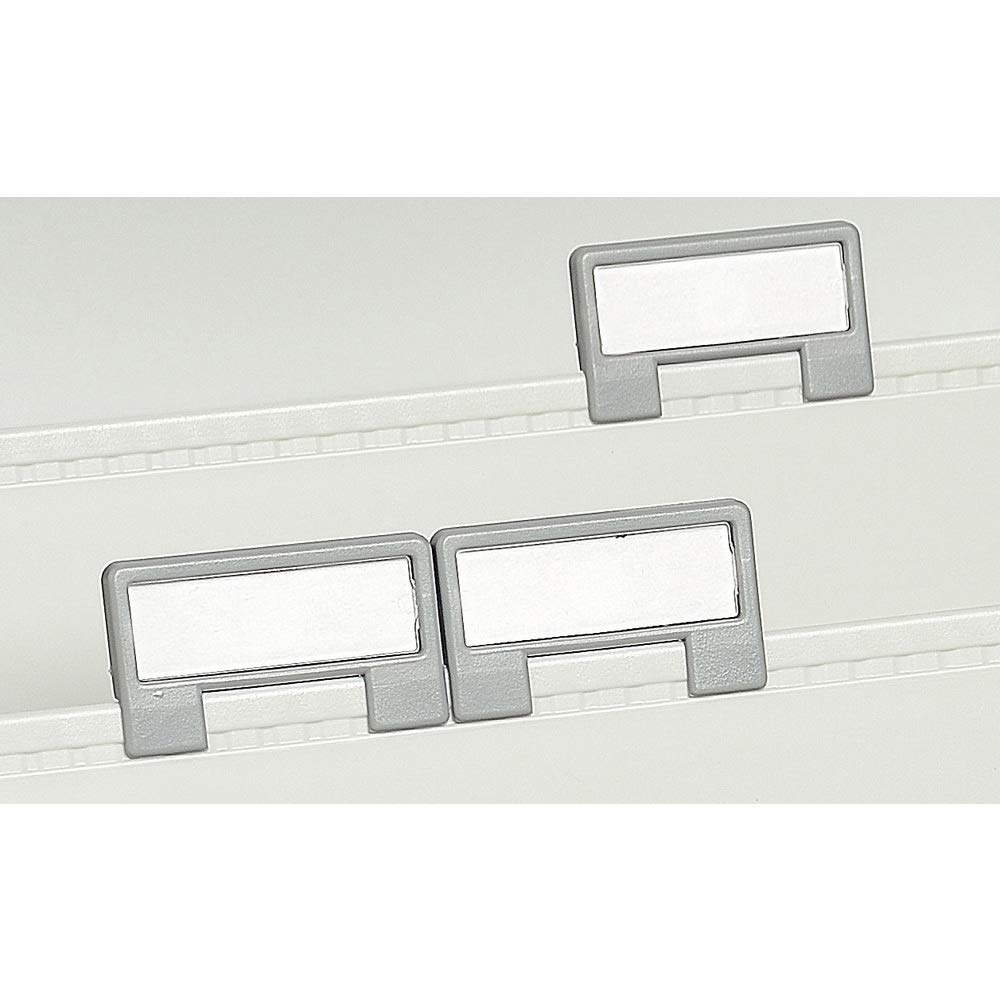 Exacompta - Ref 55641D - Plain Plastic Window Tabs - 30mm Width, Editable Labels, Easily Clips Onto Wallets & Suspension Files Within Filing Cabinets - Grey (Pack of 5)