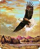 Regal 50 x 60-Inch Licensed Plush Throw Blanket, Eagle